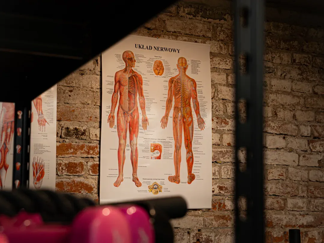 Panorama studia treningowego Bany Gym